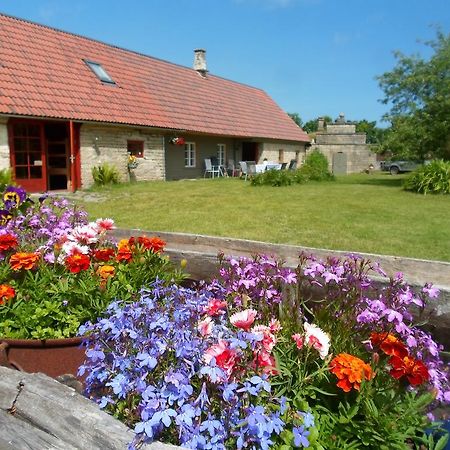 Ansumardi Farmstay Kavandi Екстер'єр фото