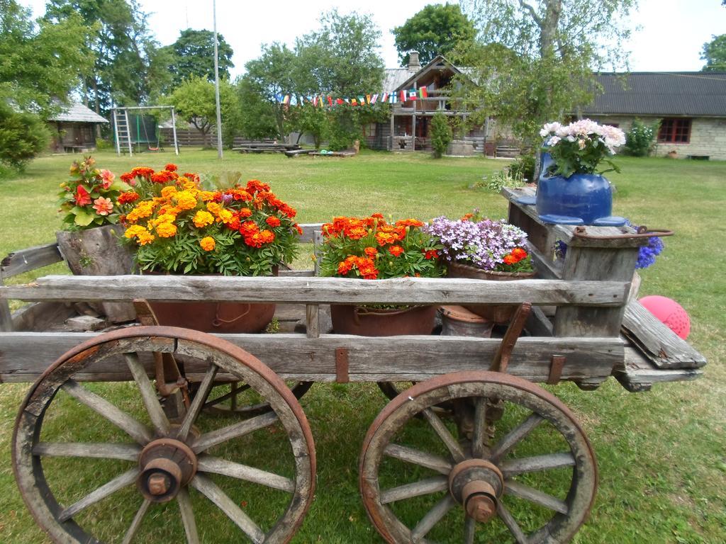 Ansumardi Farmstay Kavandi Екстер'єр фото