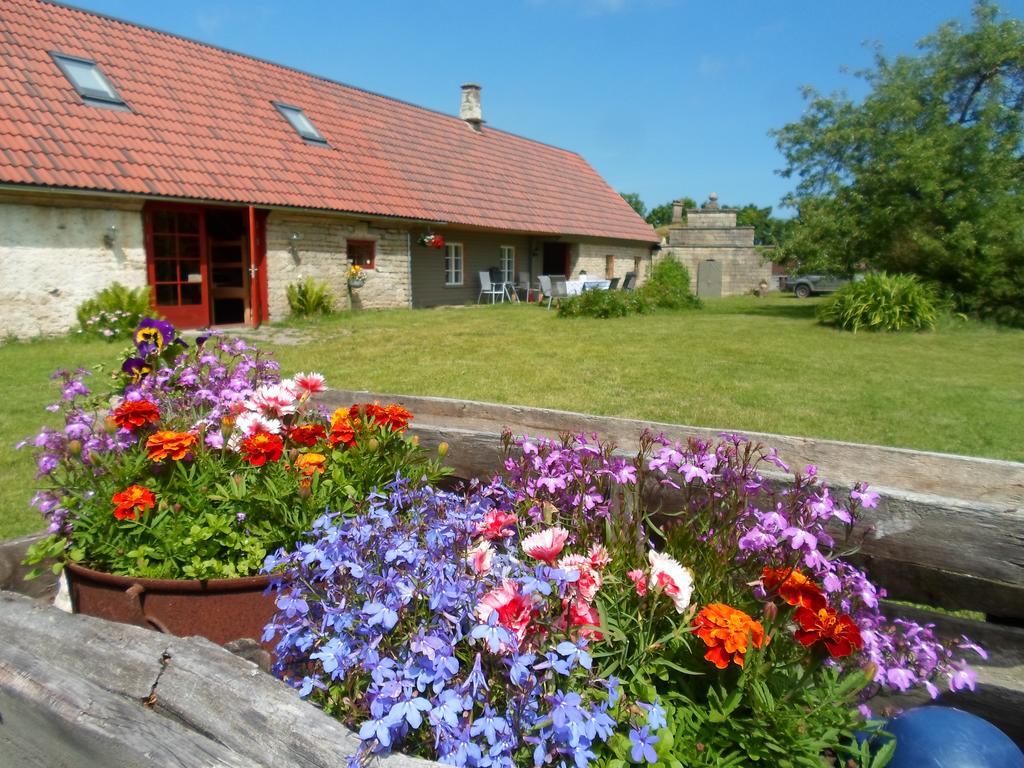 Ansumardi Farmstay Kavandi Екстер'єр фото